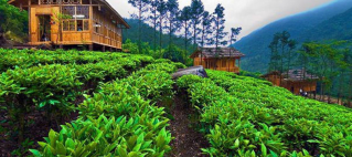 Villa di Puncak, untuk Mengisi Liburan Anda